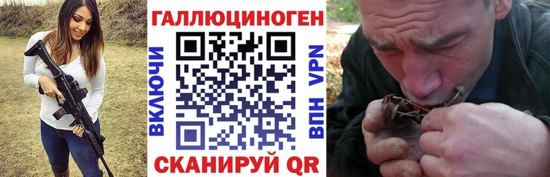 Псилоцибиновые грибы Cubensis  Ветлуга 